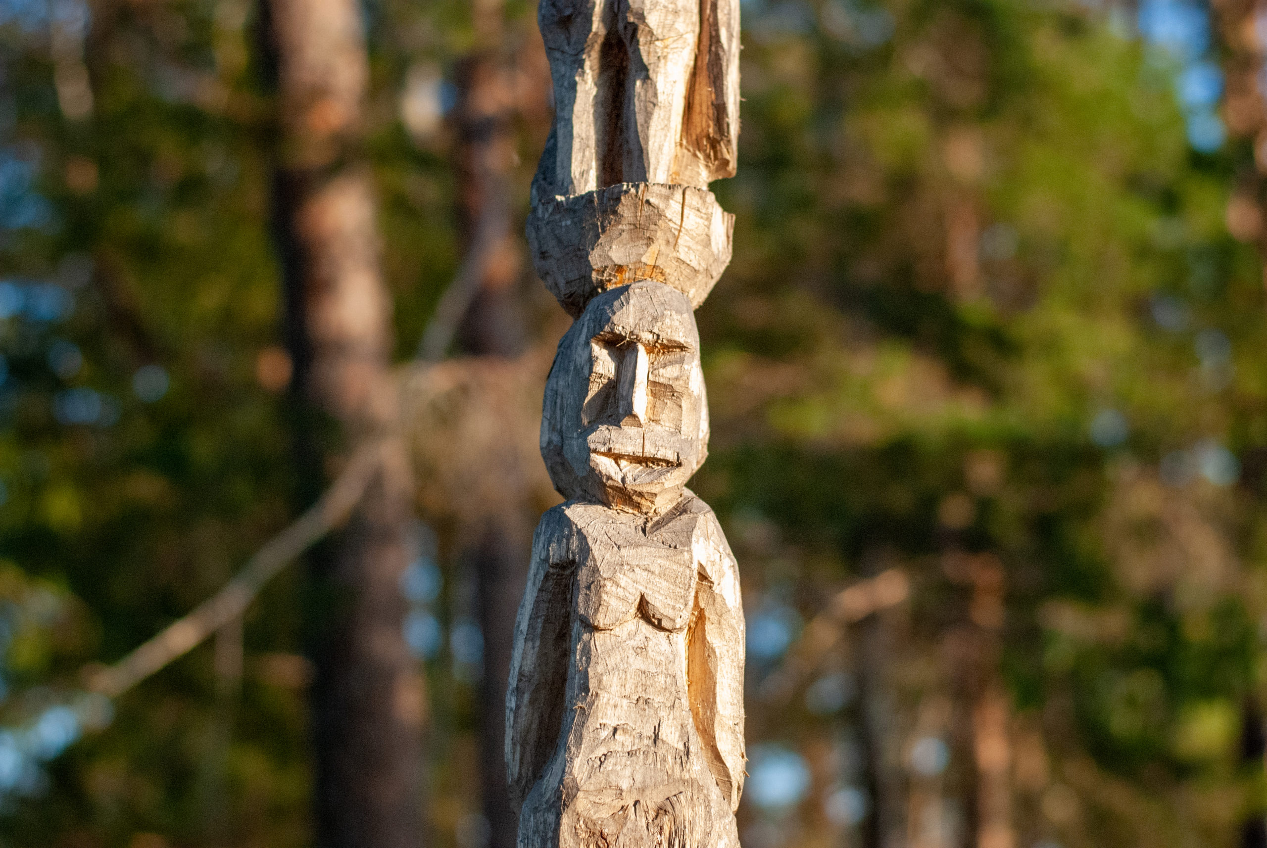 Photostock of the Month (September 2021) 1 Totem 1 scaled